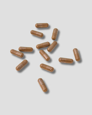 ginkgo biloba leaf extract nutridome 60 pcs_2 - 2