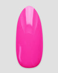 Pink Bloom 014