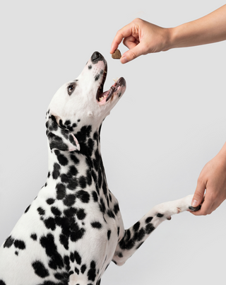 8 in 1 Complex Complementary Feed for Your Pet's Health and Energy Oggo 180 g - 3