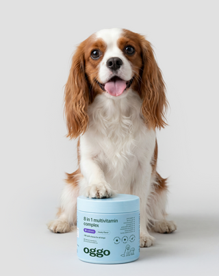 8 in 1 Complex Complementary Feed for Your Pet's Health and Energy Oggo 180 g - 2
