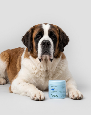 Joint &amp; Bone Support Complementary Feed for Dogs for Joints and Bones Oggo 180 g