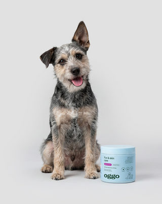 Fur &amp; Skin Supplement Complementary Feed for Dogs for Beautiful Coat and Healthy Skin Oggo 180 g