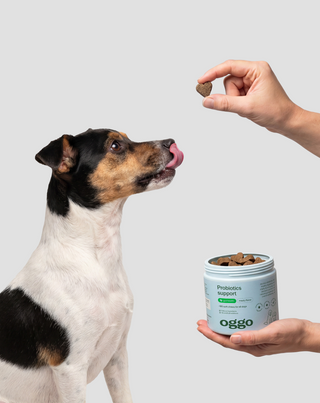 Probiotics for Dogs Complementary Feed for Digestion, Digestive System and Immunity Oggo 180 g - 2
