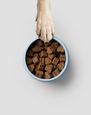 Fur &amp; Skin Supplement Complementary Feed for Dogs for Beautiful Coat and Healthy Skin Oggo 180 g
