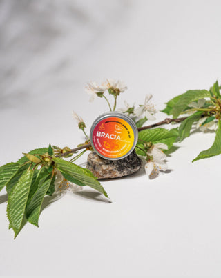 Fruity Sorbet for Dry and Chapped Lips Cherry, Mango, and Mandarin Bracia Mydlarze
