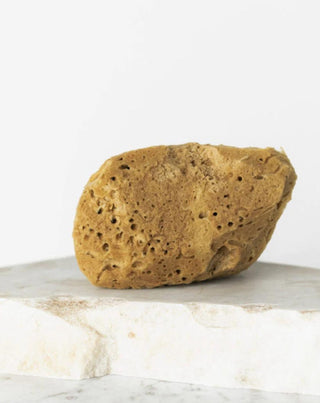 Hhuumm hypoallergenic and antibacterial natural brown sea sponge 9.5cm 02F - 2