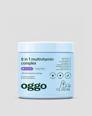 Multivitamin for Dogs 8 in 1 for Immunity, Coat and Vitality Oggo 180 g - 1