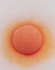 Sparkling bath ball with nourishing oils to moisturize the skin Nutridome Orange Vanilla_4