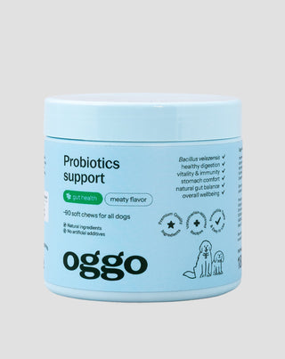 probiotics for dogs dietary supplements for dogs for digestion, digestive tract, and immune system 180 g - 1